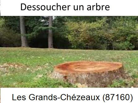 Travaux d'entretien extérieur Les Grands-Chézeaux-87160