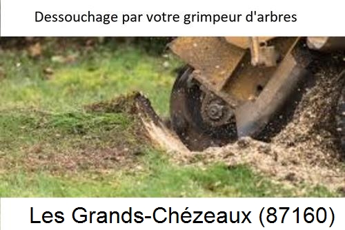 abattage d'arbres à Les Grands-Chézeaux-87160