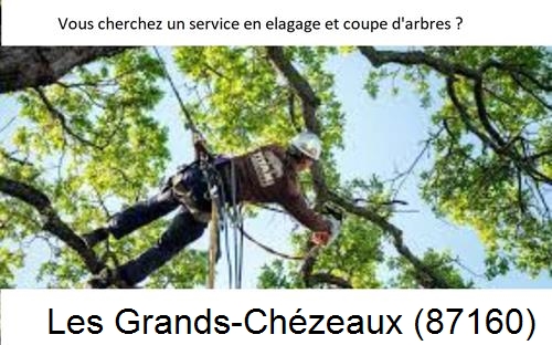 Etêtage d'arbres à Les Grands-Chézeaux-87160