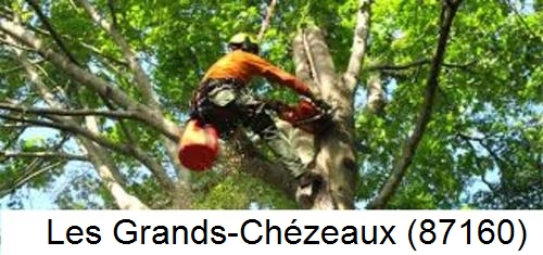 Déssouchage, étêtage d'arbres Les Grands-Chézeaux-87160