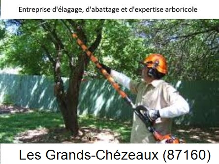 Coupe tête d'arbres Les Grands-Chézeaux-87160