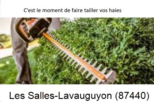 Entreprise de paysage Les Salles-Lavauguyon-87440