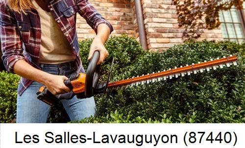entretien jardin par paysagiste Les Salles-Lavauguyon-87440