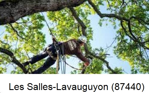 Abattage d'arbres chez un particulier Les Salles-Lavauguyon-87440