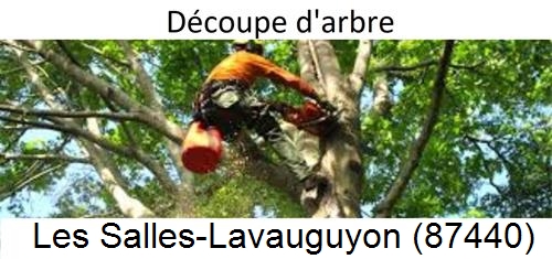 Entreprise du paysage Les Salles-Lavauguyon-87440