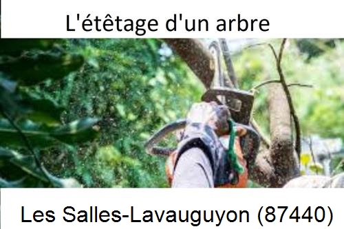 Artisan Abatteur d'arbres Les Salles-Lavauguyon-87440