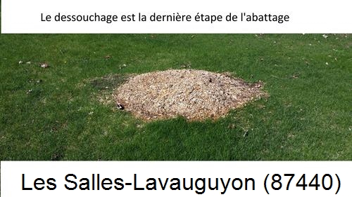 déssouchage d'arbres Les Salles-Lavauguyon-87440