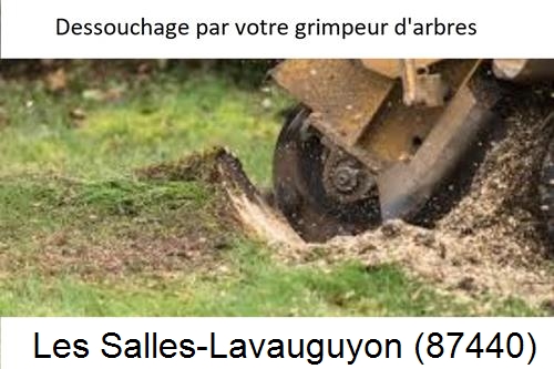 abattage d'arbres à Les Salles-Lavauguyon-87440