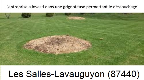 Artisan pour déssouchage d'arbres Les Salles-Lavauguyon-87440