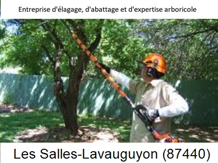 Coupe tête d'arbres Les Salles-Lavauguyon-87440
