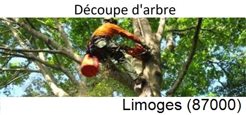 Entreprise du paysage Limoges-87000