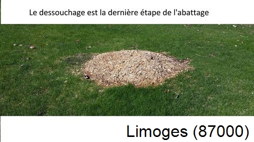 déssouchage d'arbres Limoges-87000
