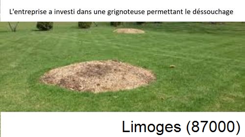 Artisan pour déssouchage d'arbres Limoges-87000