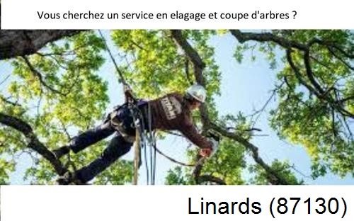 Etêtage d'arbres à Linards-87130