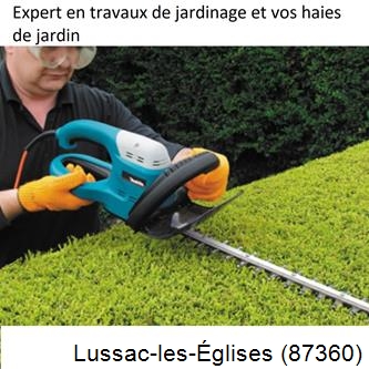 Taille et entretien jardin Lussac-les-Églises-87360