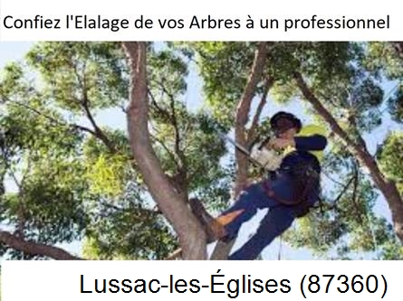 Société d'élagage à Lussac-les-Églises-87360