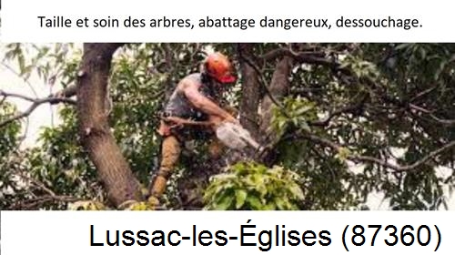 Abattage d'arbres Lussac-les-Églises-87360