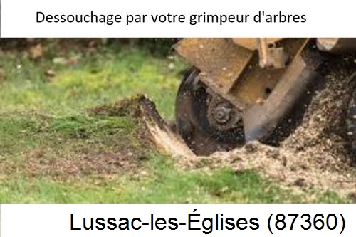 abattage d'arbres à Lussac-les-Églises-87360