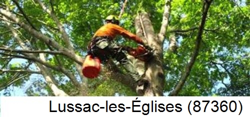 Déssouchage, étêtage d'arbres Lussac-les-Églises-87360