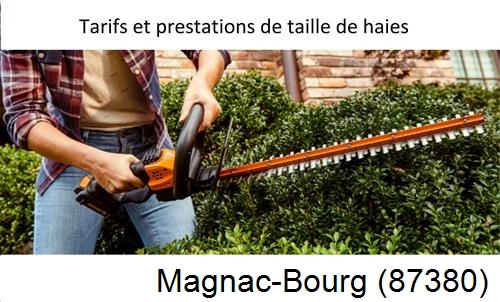 taille de haies Magnac-Bourg-87380