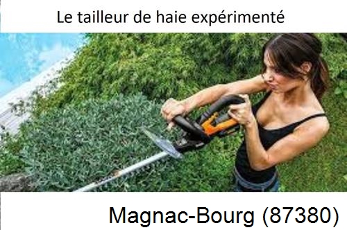 entretien jardin à Magnac-Bourg-87380