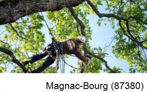 Abattage d'arbres chez un particulier Magnac-Bourg-87380