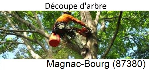 Entreprise du paysage Magnac-Bourg-87380