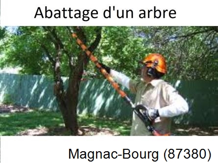 Etêtage et abattage d'un arbre Magnac-Bourg-87380