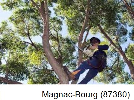Elagueur à Magnac-Bourg-87380