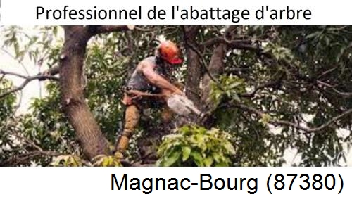 Elagage d'arbres Magnac-Bourg-87380