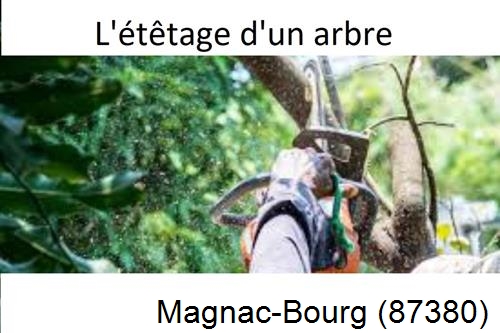 Artisan Abatteur d'arbres Magnac-Bourg-87380