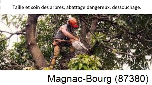 Abattage d'arbres Magnac-Bourg-87380