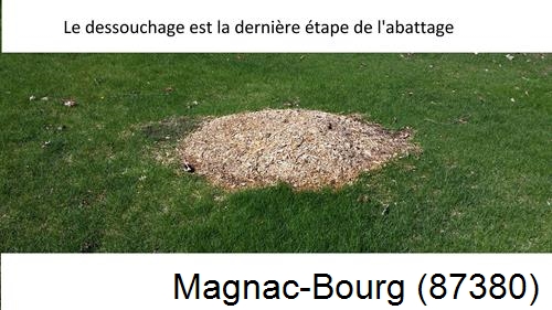 déssouchage d'arbres Magnac-Bourg-87380