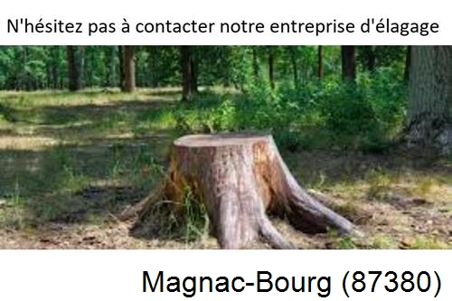 Elagage d'arbres à Magnac-Bourg-87380