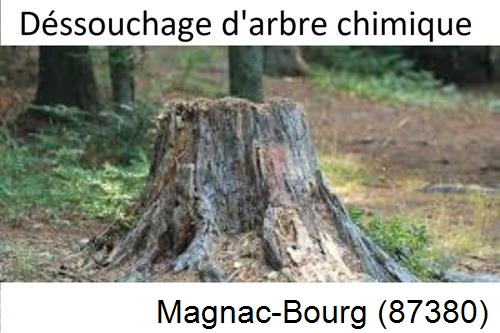 Elagueur déssouchage à Magnac-Bourg-87380