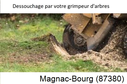 abattage d'arbres à Magnac-Bourg-87380