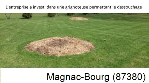 Artisan pour déssouchage d'arbres Magnac-Bourg-87380