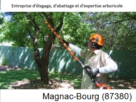 Coupe tête d'arbres Magnac-Bourg-87380