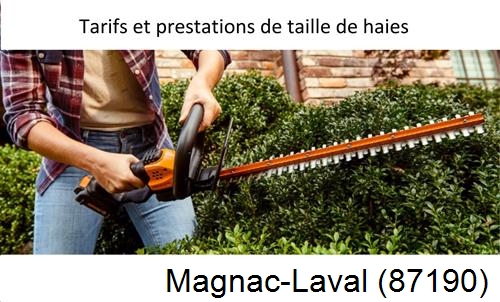 taille de haies Magnac-Laval-87190