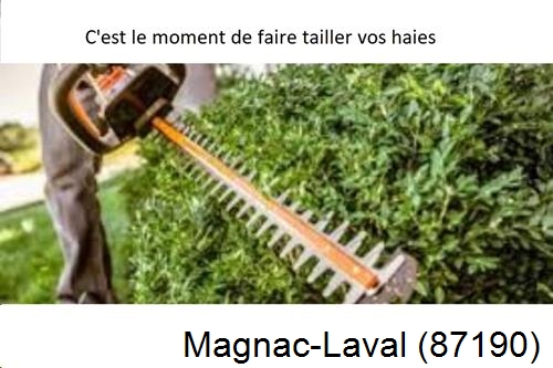 Entreprise de paysage Magnac-Laval-87190