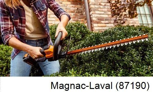 entretien jardin par paysagiste Magnac-Laval-87190
