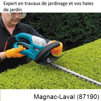 Taille et entretien jardin Magnac-Laval-87190