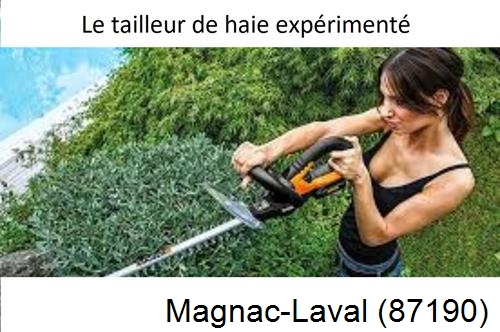entretien jardin à Magnac-Laval-87190