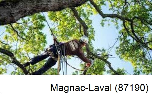 Abattage d'arbres chez un particulier Magnac-Laval-87190