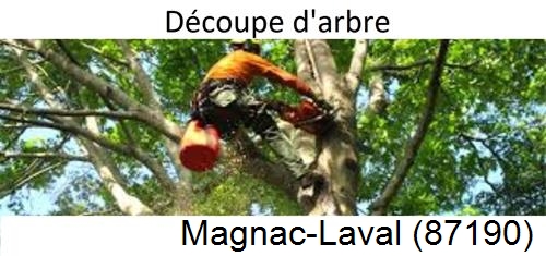 Entreprise du paysage Magnac-Laval-87190