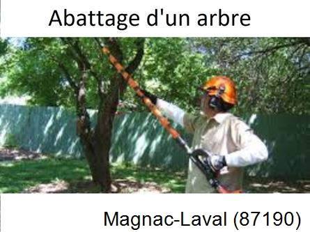 Etêtage et abattage d'un arbre Magnac-Laval-87190