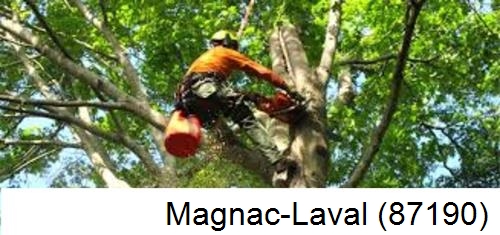 Entreprise du paysage Magnac-Laval-87190