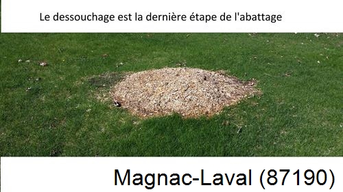 déssouchage d'arbres Magnac-Laval-87190