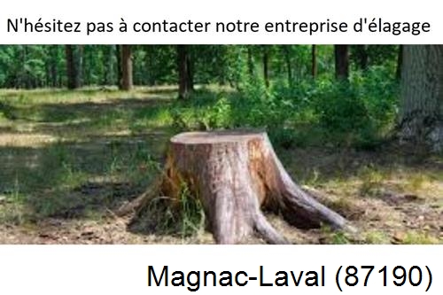 Elagage d'arbres à Magnac-Laval-87190