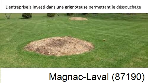 Artisan pour déssouchage d'arbres Magnac-Laval-87190